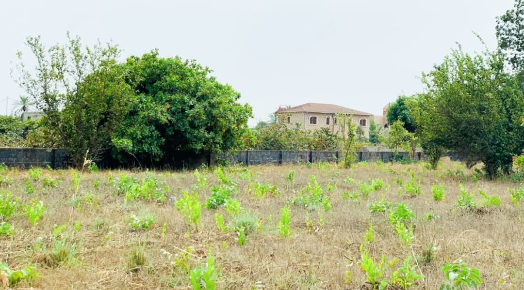 Residential Building