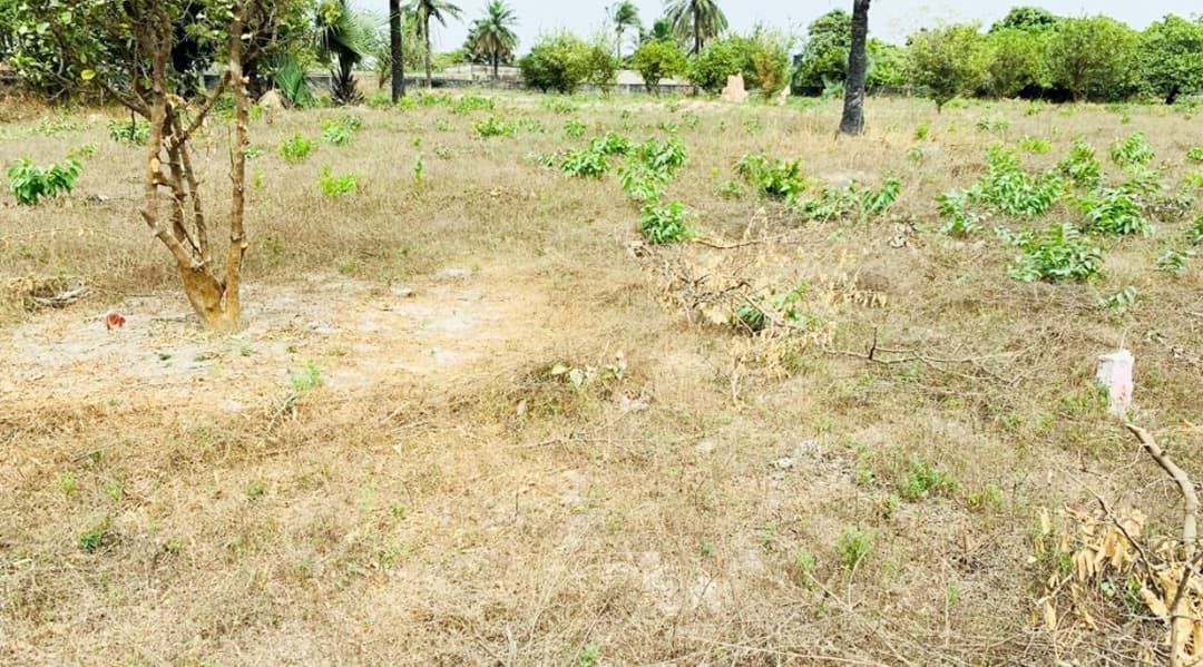 Playground Area